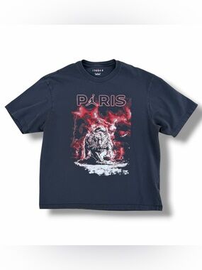 Air Jordan PSG Paris Saint-Germain Lighting Graphic T-Shirt Gray Size XL Nike
